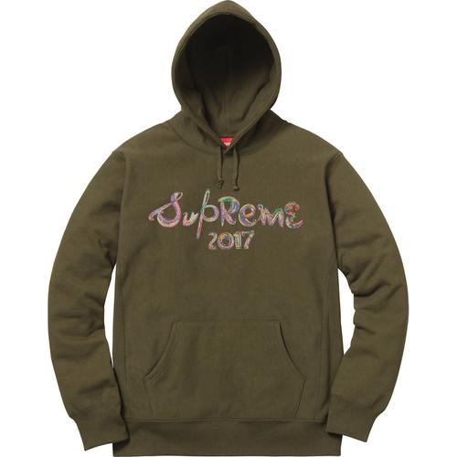 Details on Brush Logo Hooded Sweatshirt None from fall winter
                                                    2017 (Price is $158)