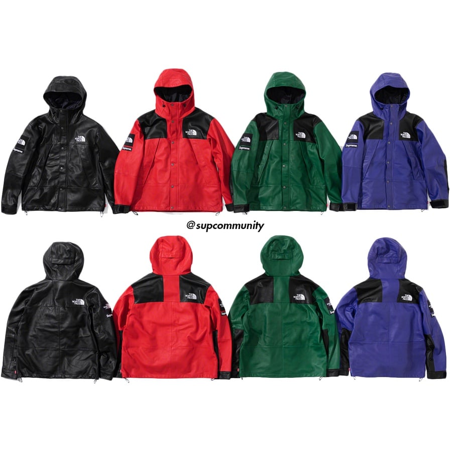 Details on Supreme The North Face Leather Mountain Parka from fall winter
                                            2018 (Price is $1098)