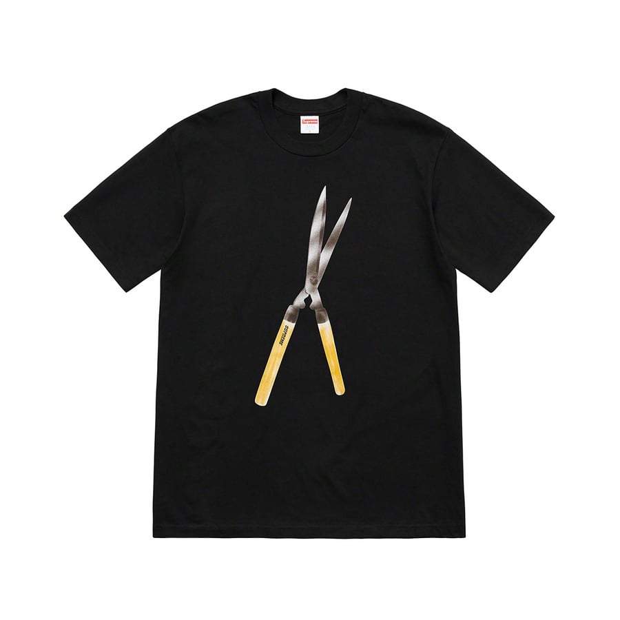 Details on Shears Tee from spring summer
                                            2019 (Price is $38)