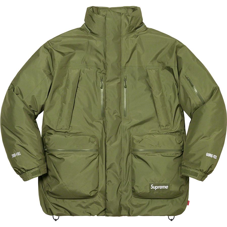 Details on GORE-TEX 700-Fill Down Parka  from fall winter
                                                    2022 (Price is $568)