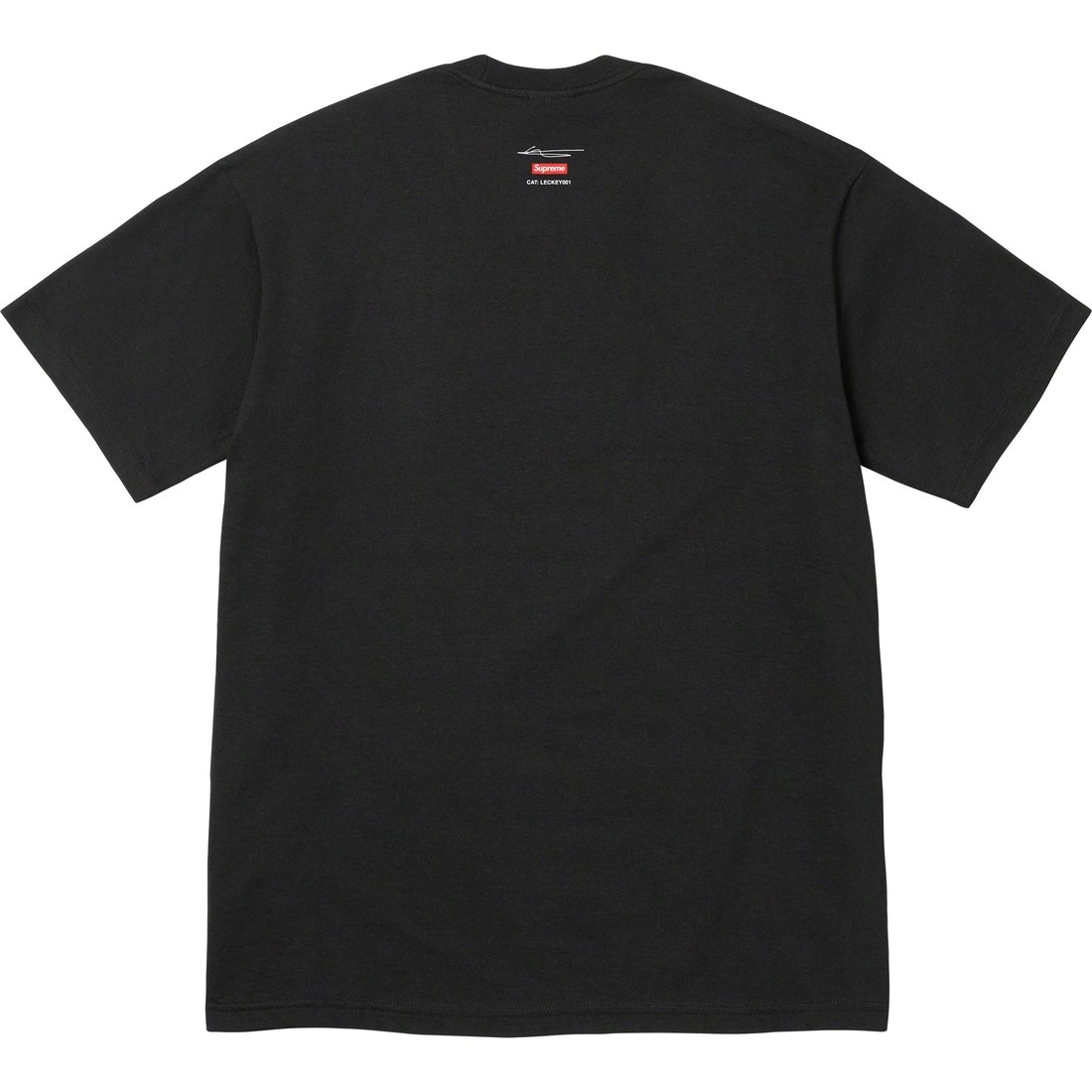 Details on GreenScreen Tee Black from fall winter
                                                    2023 (Price is $48)