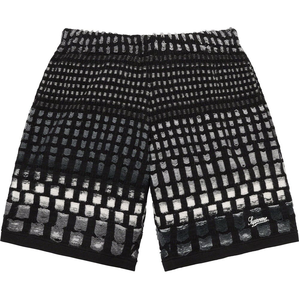 Details on Gradient Grid Knit Short  from spring summer
                                                    2023 (Price is $138)
