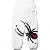 Supreme Supreme Spyder Sweatpant (FW24) - Supreme/Spyder Sweatpants_1734352378125.png