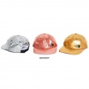 Supreme Supreme The North Face Metallic 6-Panel (SS18)