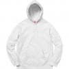 Supreme Channel Hooded Sweatshirt (SS18)