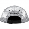 Supreme Supreme The North Face Metallic 6-Panel (SS18)