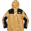 Supreme Supreme The North Face Metallic Mountain Parka (SS18)