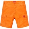 Supreme Supreme Spitfire Cargo Short (SS18)