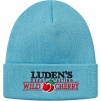Supreme Luden's Beanie (FW18) - Light Blue