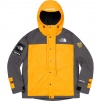 Supreme Supreme The North Face RTGJacket + Vest (SS20) - Gold
