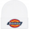 Supreme Supreme Dickies Beanie (FW22) - White