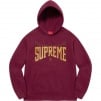 Supreme Rhinestone Shadow Hooded Sweatshirt (FW22)