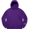 Supreme WINDSTOPPER Zip Up Hooded Sweatshirt (FW22)