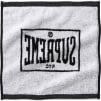 Supreme Square Mini Towels (Set of 2) (FW23) - Multicolor