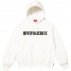 Supreme Collegiate Patchwork Leather Hooded Sweatshirt (FW23)