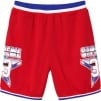 Supreme All-Star Basketball Short (SS15)
