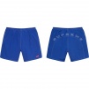 Supreme Arc Logo Water Short (SS20)
