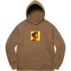 Supreme Gummo Hooded Sweatshirt (SS22)