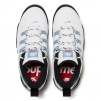 Supreme Supreme Nike SB Darwin Low (SS24) - White