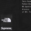 Supreme Supreme The North Face Nylon Short (SS24) - Black
