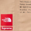Supreme Supreme The North Face Nylon Short (SS24) - Khaki