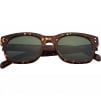 Supreme Avon Sunglasses (SS25) - Tortoise