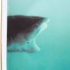 Supreme Supreme Damien Hirst Rosenthal Tray (Set of 3) (SS25) - Multicolor