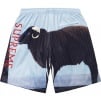 Supreme Supreme Damien Hirst Soccer Short (SS25) - Black