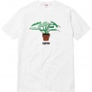 Thumbnail for Plant Tee