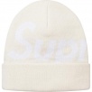Thumbnail for Big Logo Beanie