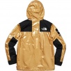 Thumbnail for Supreme The North Face Metallic Mountain Parka