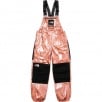 Thumbnail for Supreme The North Face Metallic Mountain Bib Pants