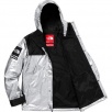 Thumbnail for Supreme The North Face Metallic Mountain Parka