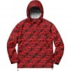 Thumbnail for World Famous Taped Seam Hooded Pullover