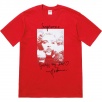 Thumbnail for Madonna Tee