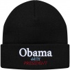 Thumbnail for Obama Beanie