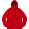 Thumbnail for Polartec Hooded Sweatshirt