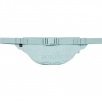 Thumbnail for Waist Bag