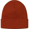 Thumbnail for Tonal Logo Beanie