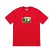 Thumbnail Greetings Tee