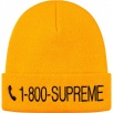 Thumbnail for 1-800 Beanie