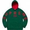 Thumbnail for Spread Logo Hooded Sweatshirt