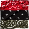 Thumbnail Supreme dead prez RBG Bandana