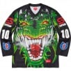 Thumbnail for Dragon Hockey Jersey