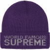 Thumbnail for World Famous Beanie