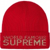 Thumbnail for World Famous Beanie