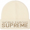 Thumbnail for World Famous Beanie