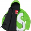 Thumbnail for Supreme The North Face S Logo Hooded Fleece Jacket