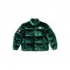Thumbnail for Supreme The North Face Faux Fur Nuptse Jacket