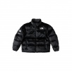 Thumbnail for Supreme The North Face Faux Fur Nuptse Jacket